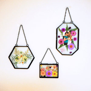 Framed Pressed Flowers Family Style Craft Pack